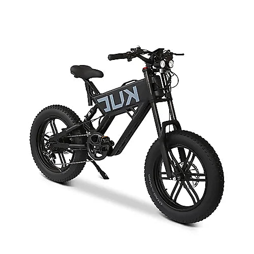 Black KUGOO T01 Electric Bike with fat tires for all-terrain riding