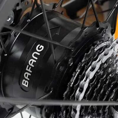 Close-up of the Bafang rear hub motor and gear assembly inside the rear wheel.