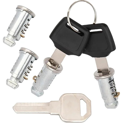 4 lock cylinders with 2 matching keys and 1 master installation key