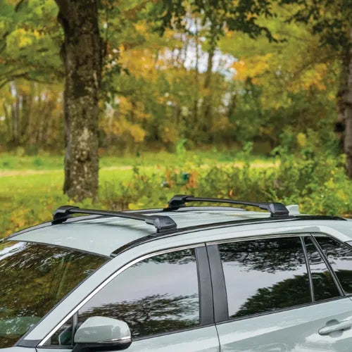 Car with roof racks in a forest setting