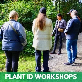 Plant Foraging Tours