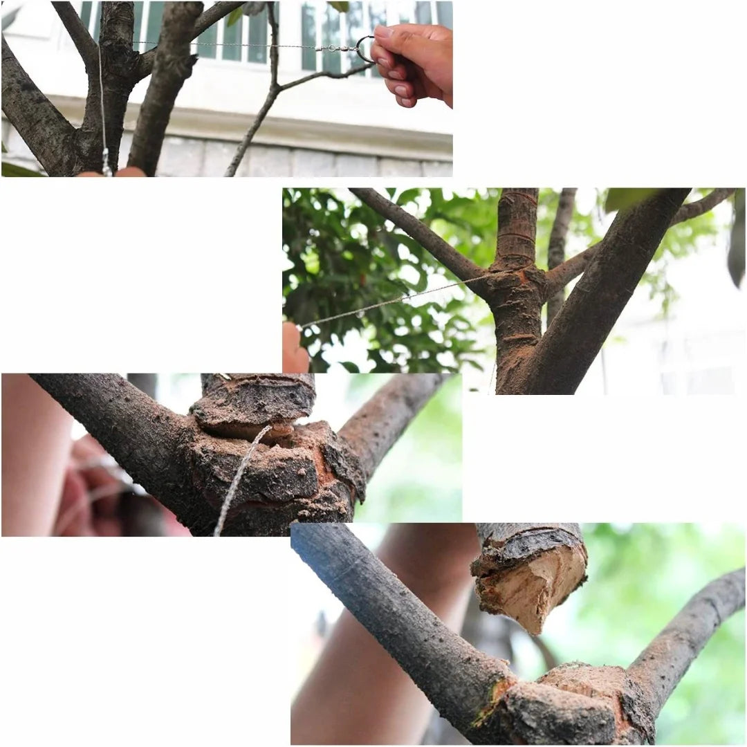 Series of photos showing AO tactical wire saw cutting through different branches and twigs outside