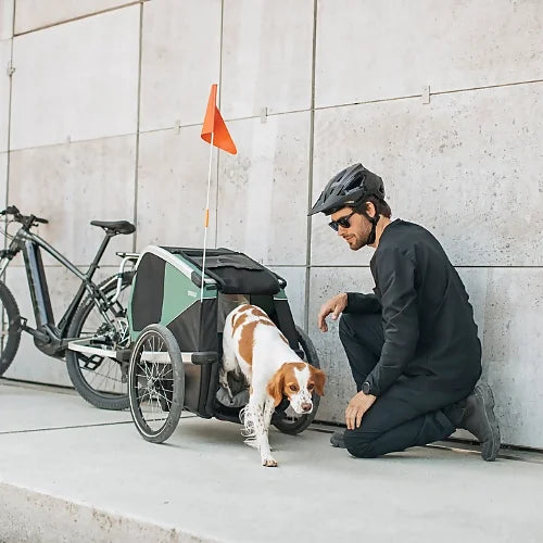 Thule Bexey dog trailer hitched to bicycle for outdoor adventure and dog comfort