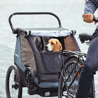 Beagle sitting in the Thule Courier dog trailer while bike is being ridden