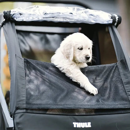 Golden retriever puppy sitting inside Thule Courier with mesh top